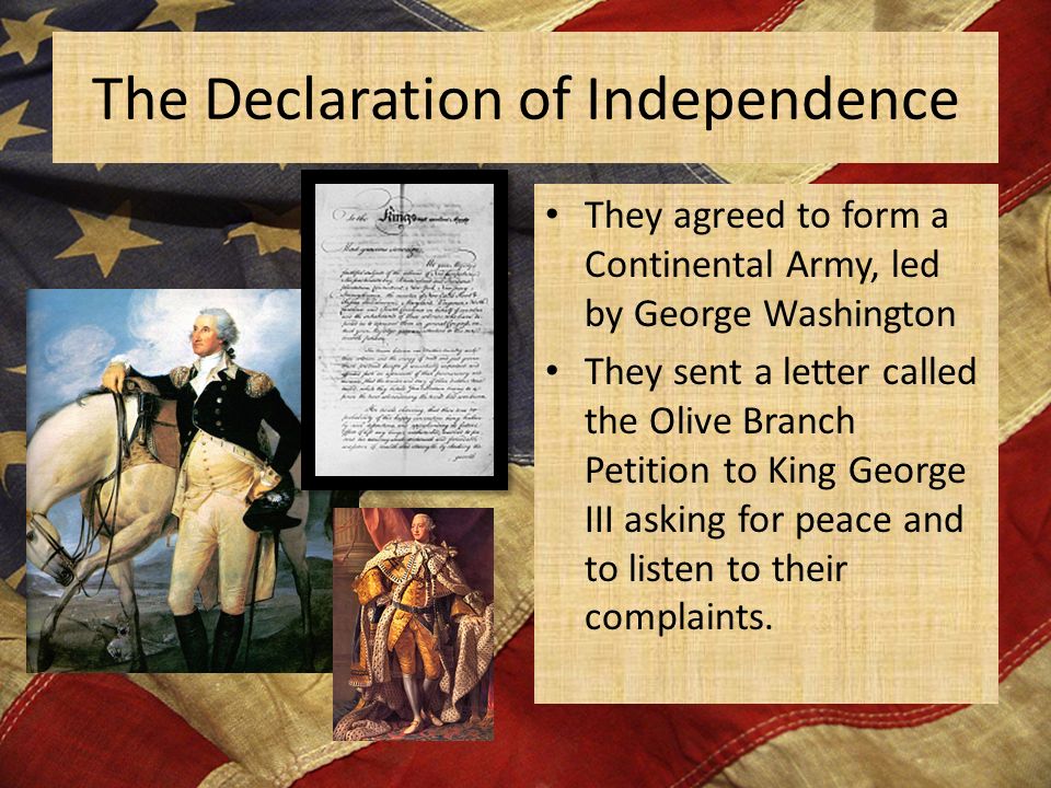 King George III in the Declaration of Independence Essay Sample